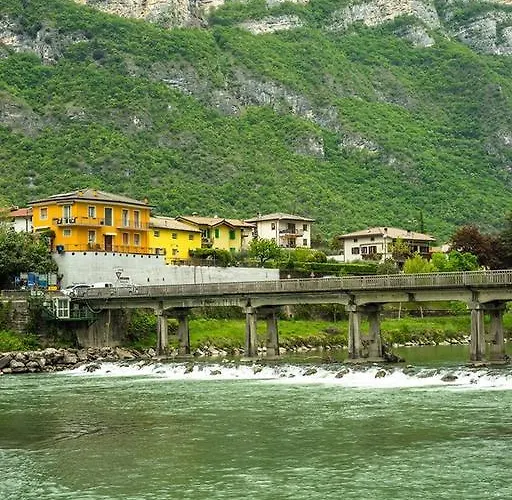Olivo Belluno Veronese