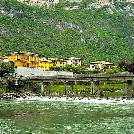 Olivo