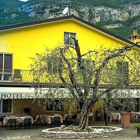 Olivo