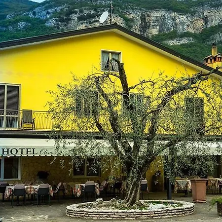 Olivo Belluno Veronese