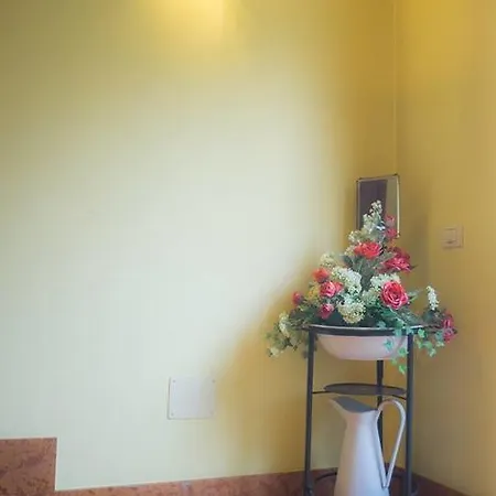 호텔 Olivo 벨루노 베로네세