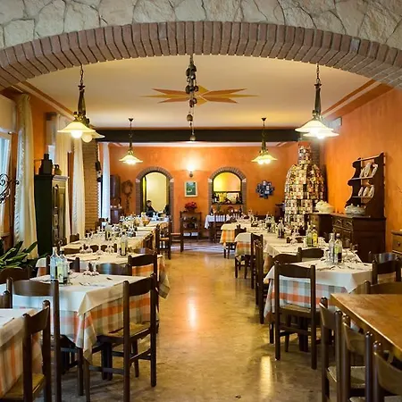 Olivo 벨루노 베로네세