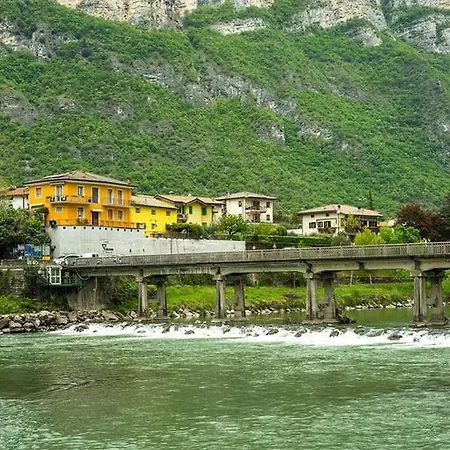 Olivo Belluno Veronese