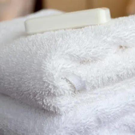 호텔 Olivo 벨루노 베로네세