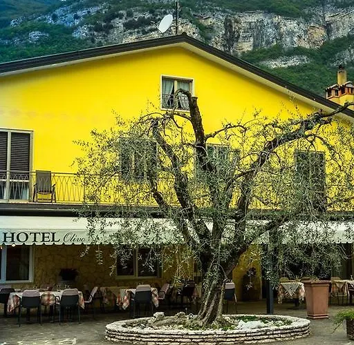 Olivo Belluno Veronese